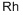 Rhodium Rh/C