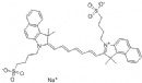 Indocyanine Green