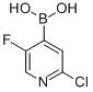 2-氯-5-氟吡啶-4-硼酸
