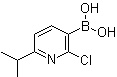 2-氯-6-异丙基吡啶-3-硼酸