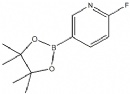 2-Fluoropyridine-5-boronic acid pinacol ester