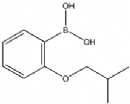 2-Isobutoxyphenylboronic acid