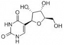 Pseudouridine