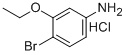 3-乙氧基-4-溴苯胺盐酸盐